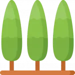 Baumpflege