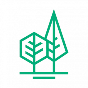 Logo NATURA BaumService transparent