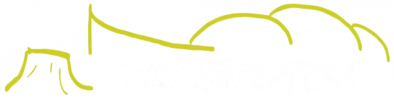 Logo das Sägeteam